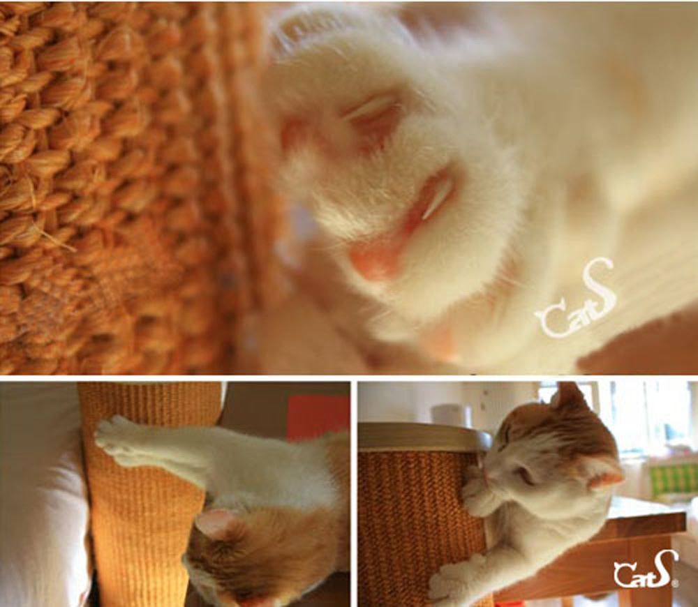 Katzenbaum - Kratzbaum: CatS Design Kratzbaum Kratzstamm G – Neu und originalverpackt aus Mönchengladbach von Zoopplier 8