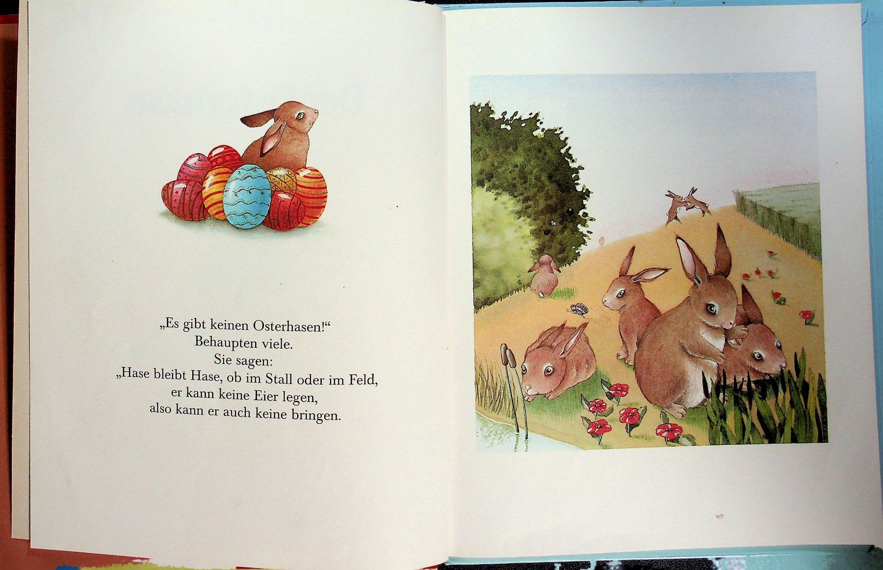 Libri: Agnes Mathieu W. Wolf  Der Osterhase Ravensbruger  1984 – Usato da Reitnau venduto da Zaomir 3
