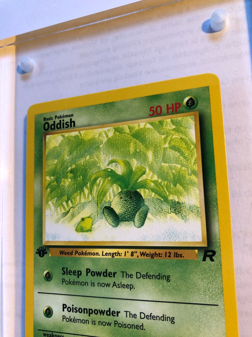 Cartes à collectionner: Oddish 1st Team Rocket - MINT - ab 1.- – D'occasion à Giubiasco par dan_pr8b 3