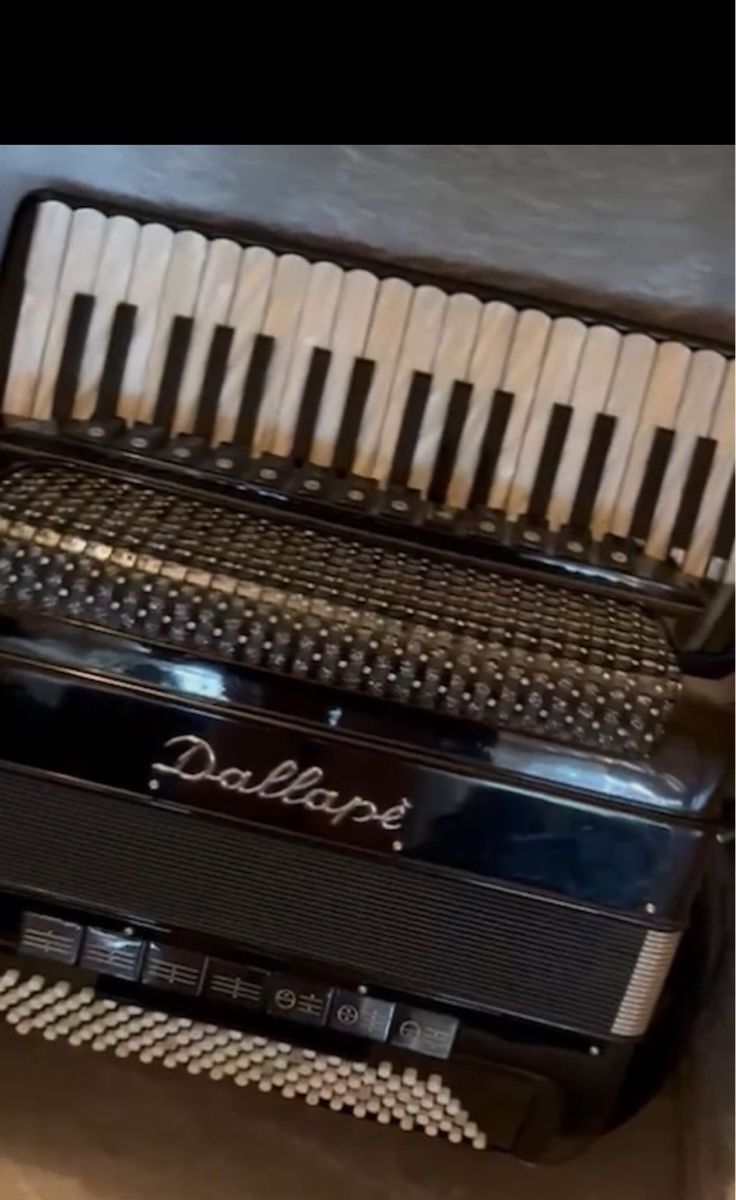 Instruments de musique: Akkordeon Dallape 1998 – D'occasion à St. Gallen par dus_8xmw 1