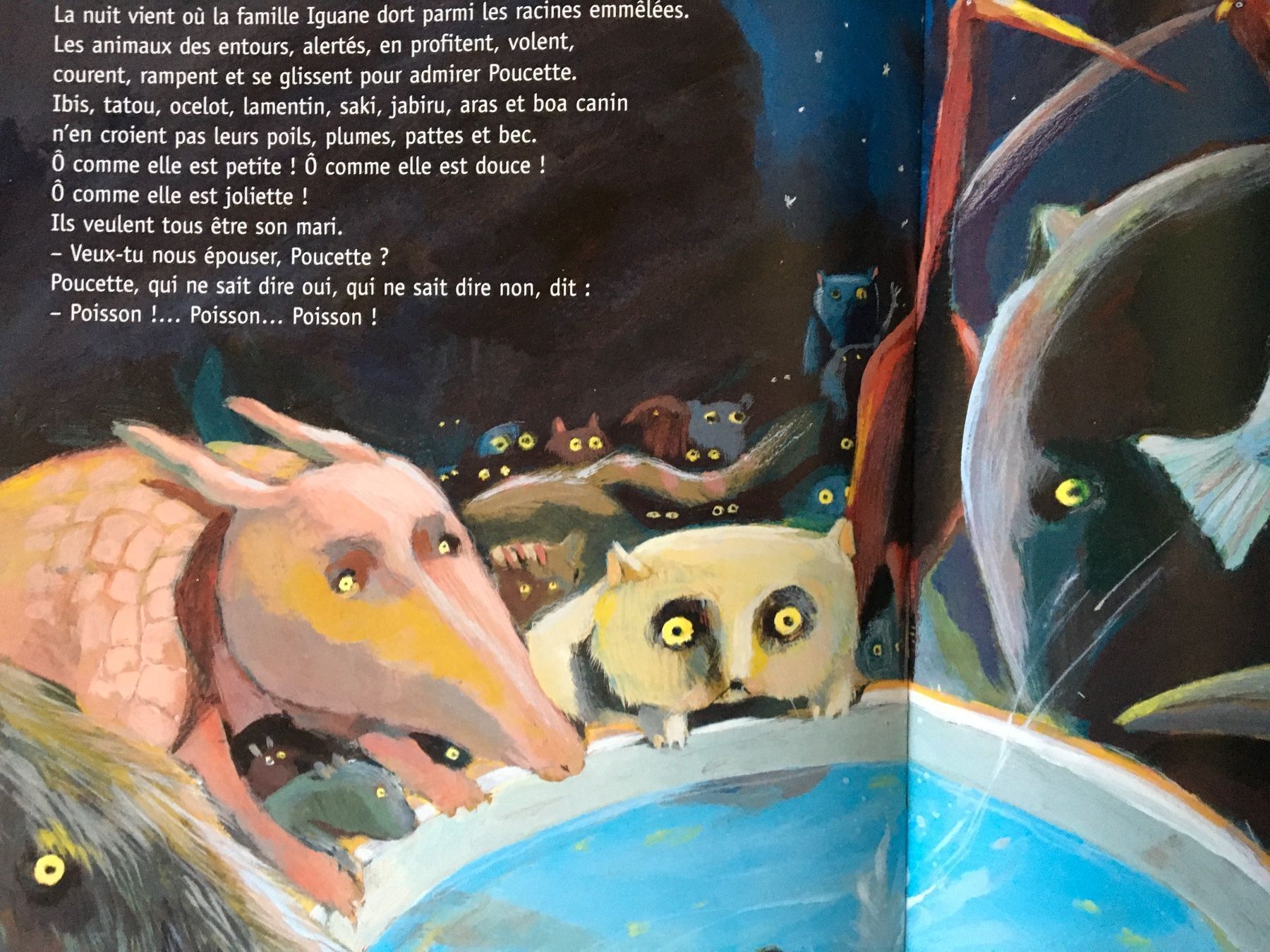 Libri: Poucette de Toulaba 1805 2005ANDERSEN – Usato da Delémont venduto da vcx 3