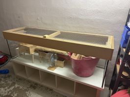 Sehr grosses Terrarium 180x50x50 cm