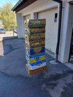 Bananenschachteln 38 Stk.