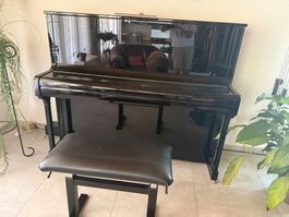 Piano droit BECHSTEIN noir laqué bon état
