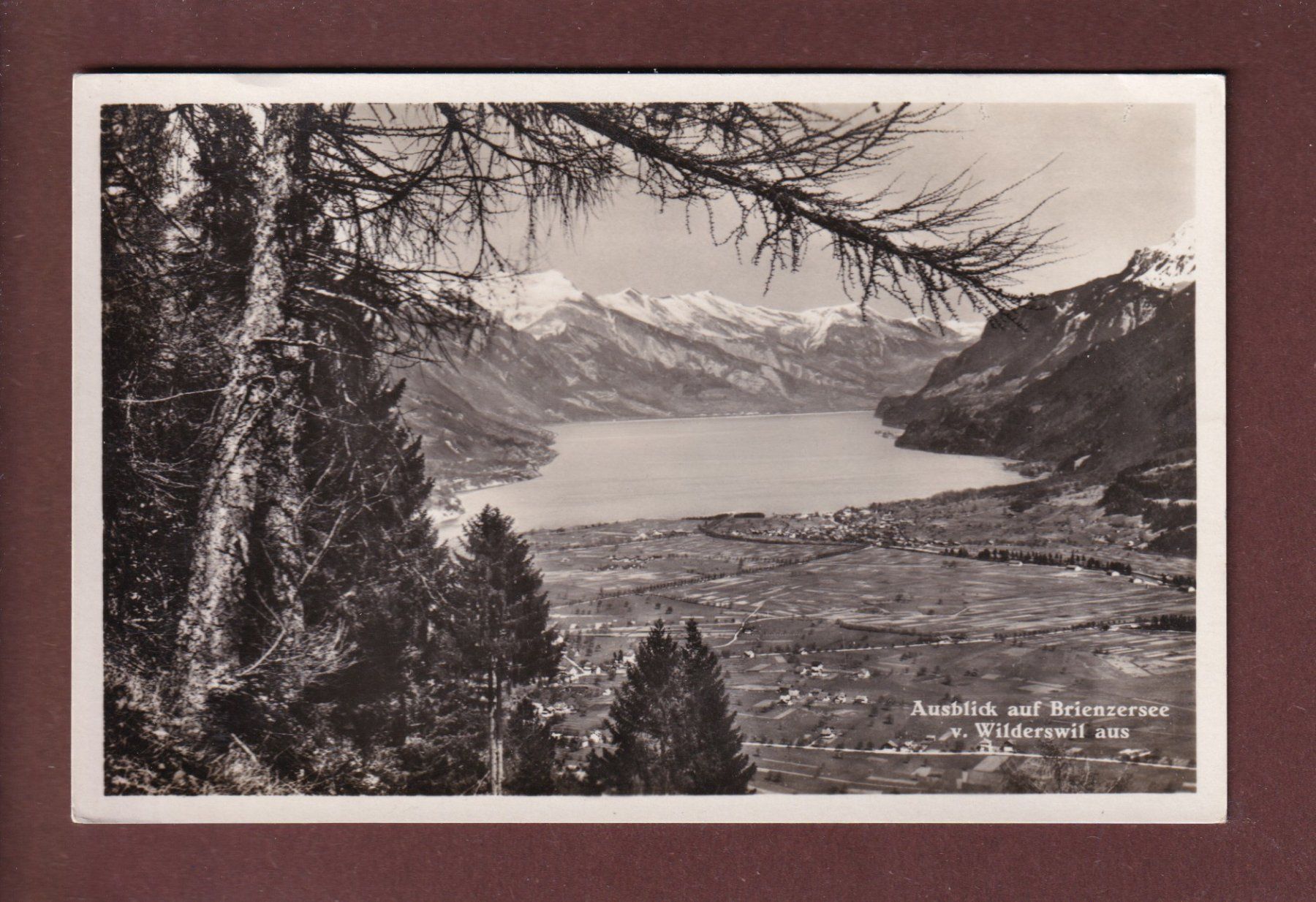 Cartoline postali: WILDERSWIL - Blick auf Brienzersee – Usato da Pully venduto da nicecards