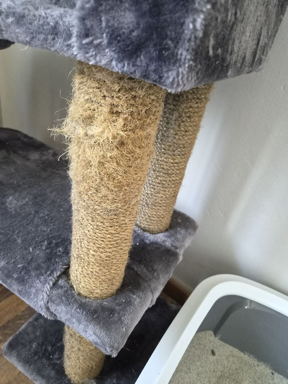 Katzenbaum - Kratzbaum: katzen baum  – Gebraucht aus Wikon von casares 1