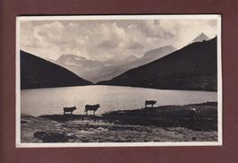 BACHALPSEE - 1916