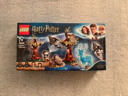 LEGO Harry Potter 75945 Expecto Patronum
