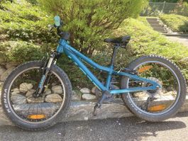 Tolles Scott Kindervelo, 20 Zoll, Top Zustand!