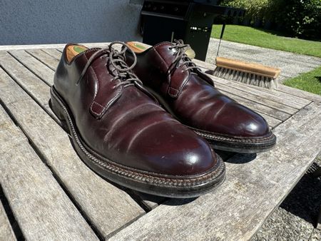 Alden Shell Cordovan Plain Toe Derby, US 9, Barrie Last