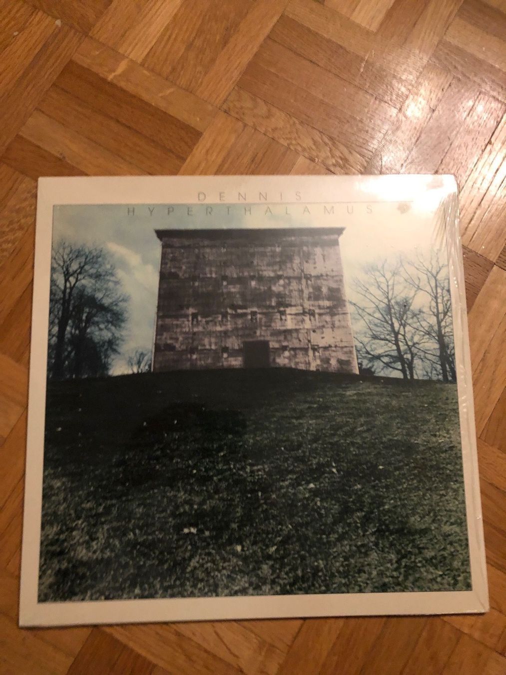 Schallplatten: Dennis/ Hyperthalamus 1975 space krautro – Gebraucht aus Zürich von manuunited