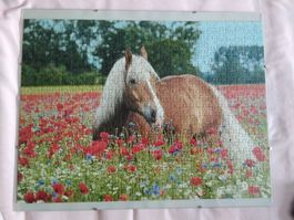 Puzzle Pferd Blumenfeld 500 Teile. Mit Glass Rahmen.