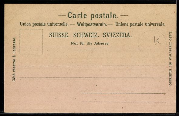 Cartes postales: Lithographie Thun, Schloss, Totalansicht – D'occasion à Berlin par bartko-reher 1