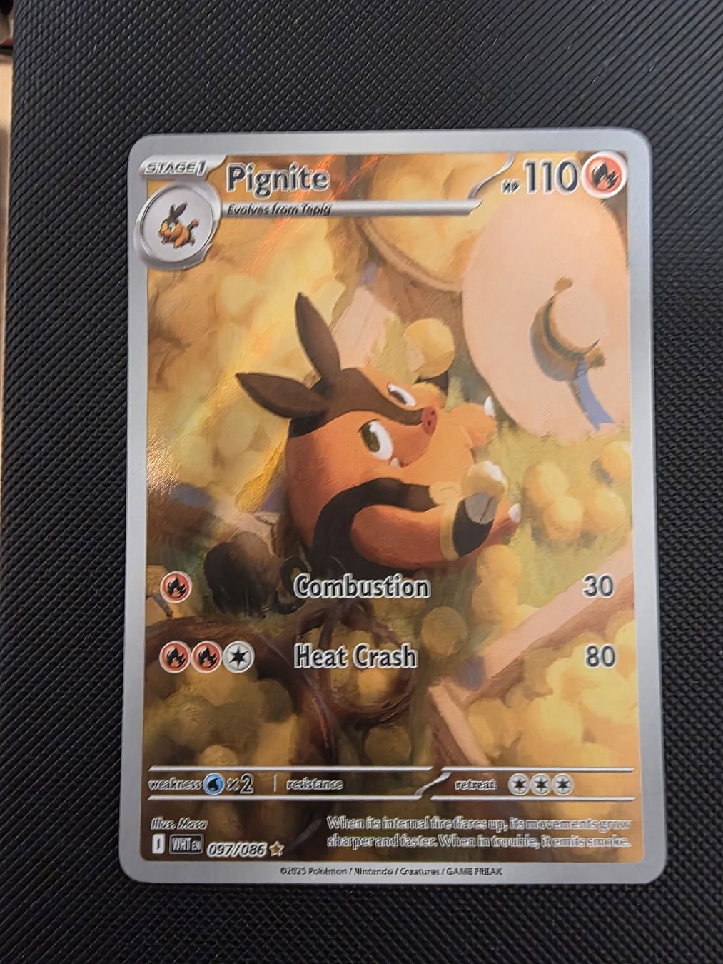 Pokémon Pignite 012/086 (Master Ball) White Flare Japanisch (Neu