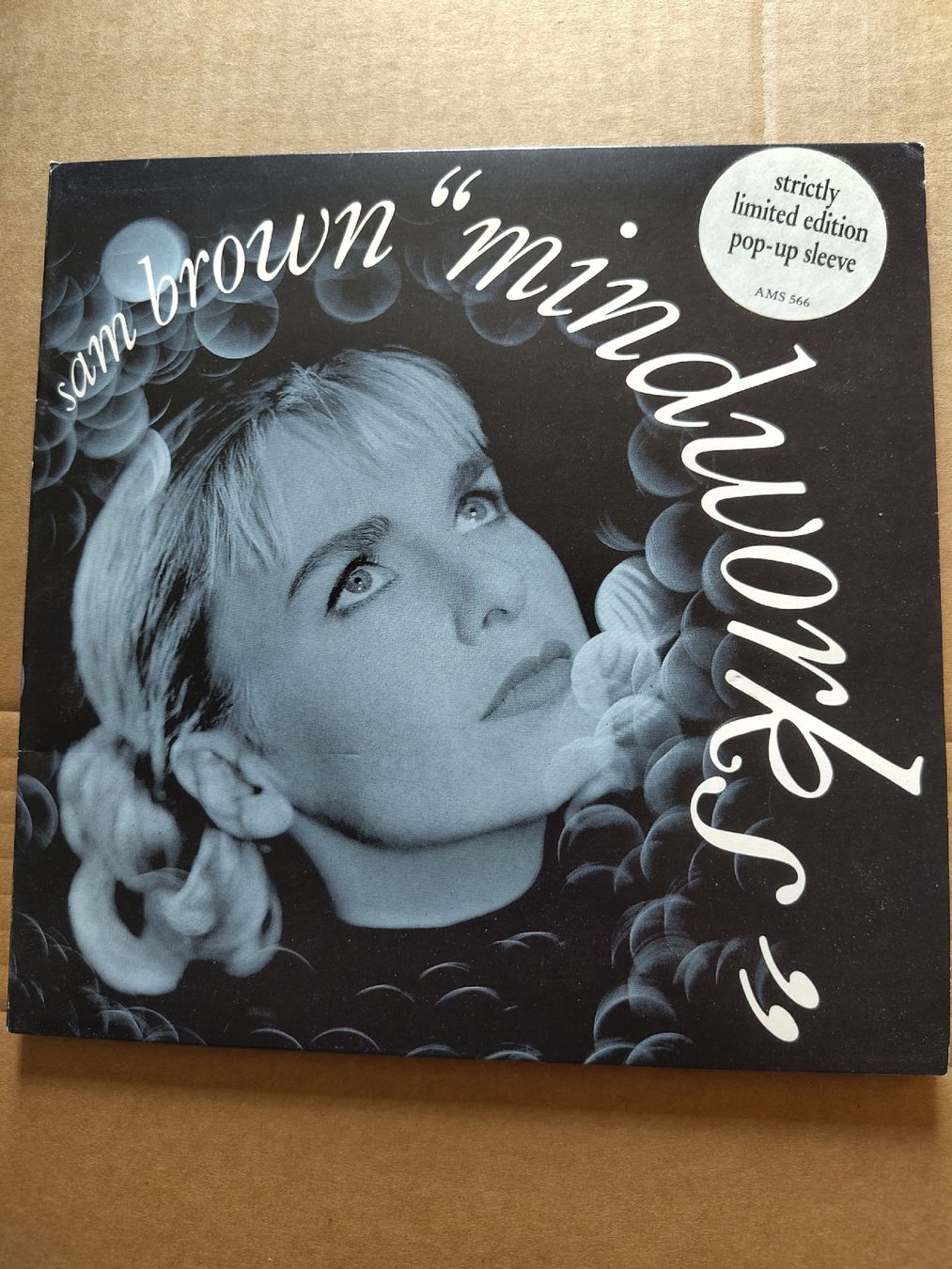 Dischi in vinile: Sam Brown - Mindworks 7" Single Pop-Up Sleeve – Usato da Büsserach venduto da Bey23