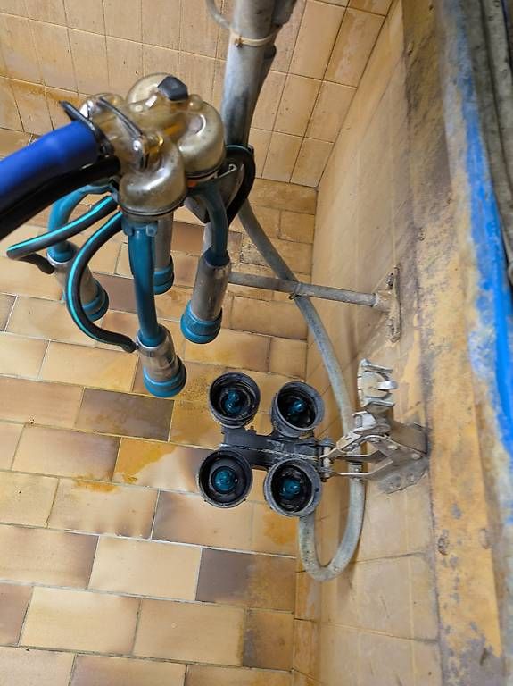 Alle Maschinen: Melkaggregat IQ / GEA – Gebraucht aus Hildisrieden von TTVRXC 1