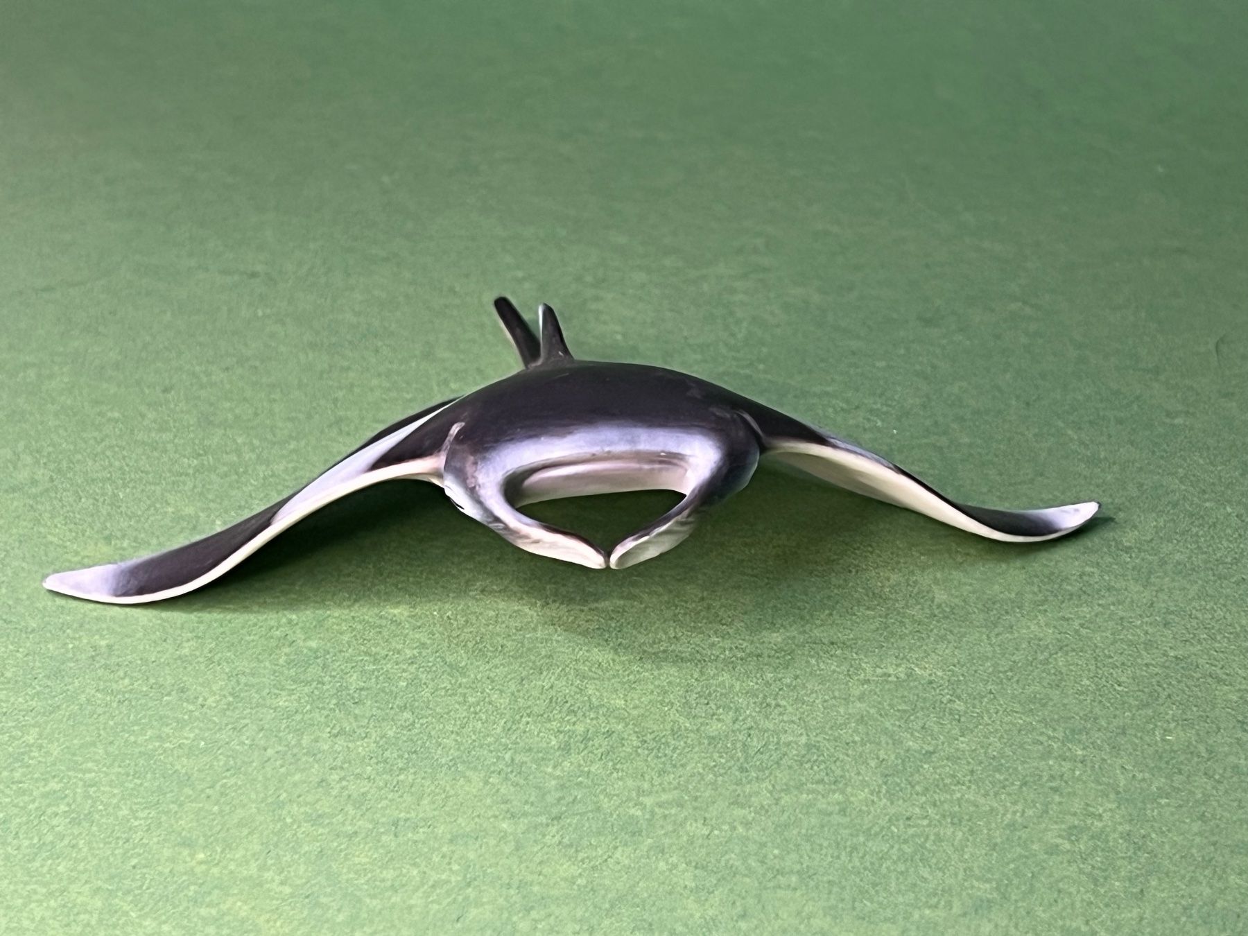 Schleich Statuette: Schleich 14698 Manta Rochen – Usato da Ennetbaden venduto da mapa05 4
