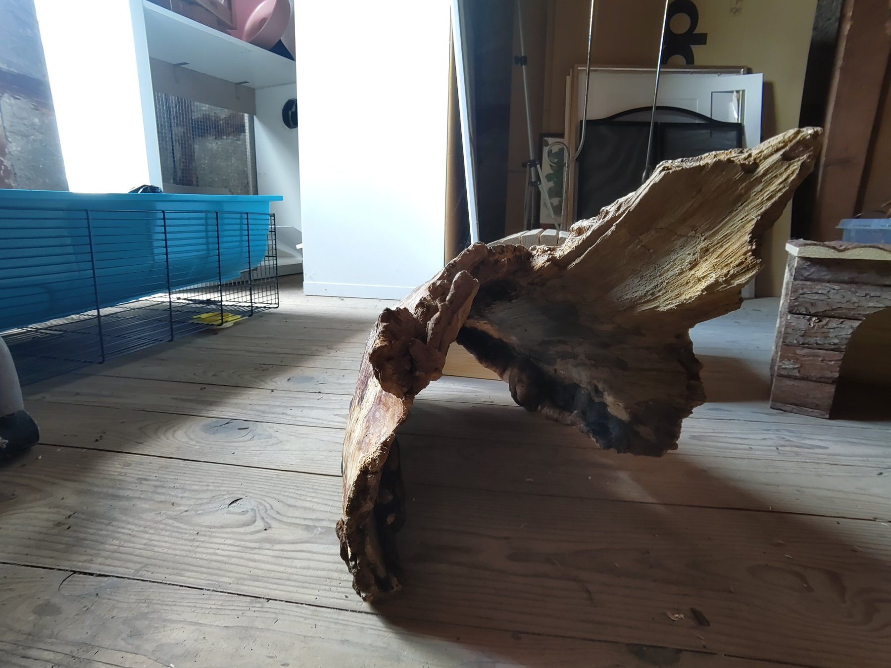 Articoli in legno: Nagetierhäuschen – Usato da Wagenhausen venduto da sar_jz98 7