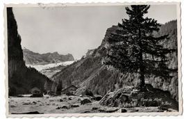 Pont de Nant, Cachet du Refuge, Felix Ravy, circulée 1942
