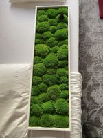 Tableau végétal stabilisé en mousse naturelle 🍀 100x30 cm