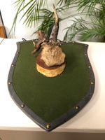 Trophee Horn auf einer Art Bild !