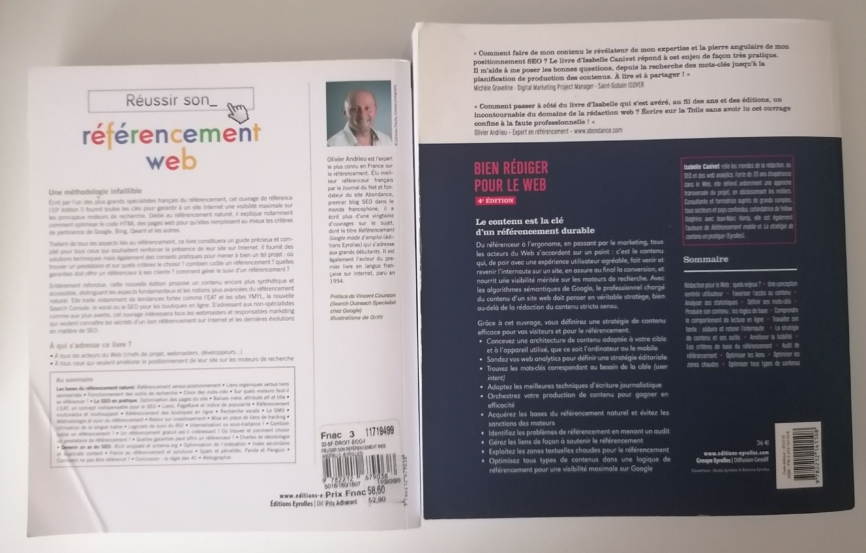 Libri: Réussir son référencement Web + Bien rédiger pour le Web – Usato da Ecublens VD venduto da loi_dy6b 1