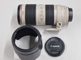 Canon EF 70-200mm f/2.8L IS II USM mit deutlichen Spuren