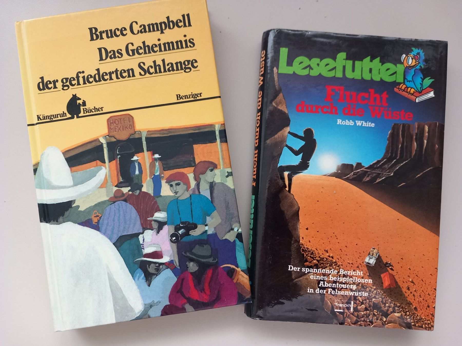 Libri: 2 spannende Jugend-Bücher – Usato da Lindau venduto da san_kg2j