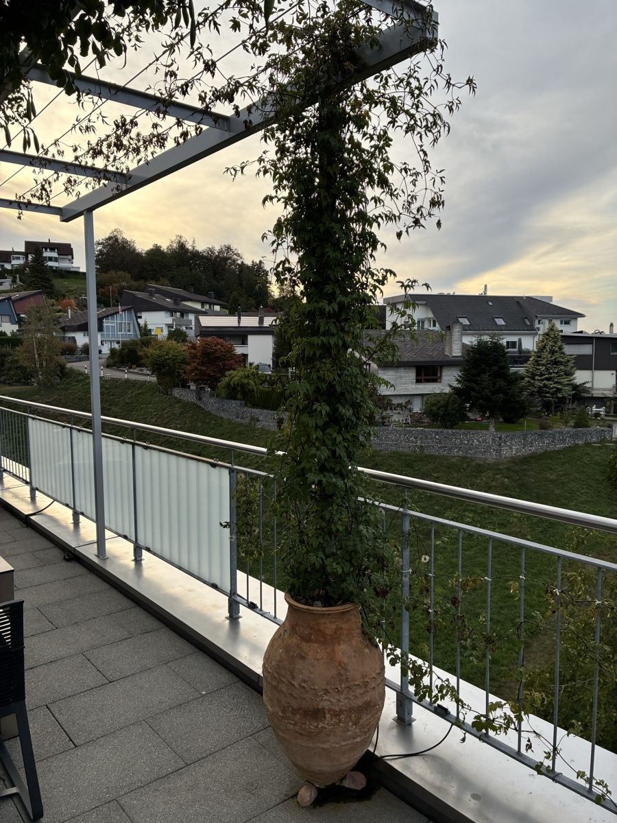 Plantes & graines: Alpenwaldrebe in Amphore – Neuf (Voir description) à Altendorf par Monteiroastrild
