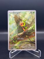 Chespin (CRI 087) - Illustration Rare