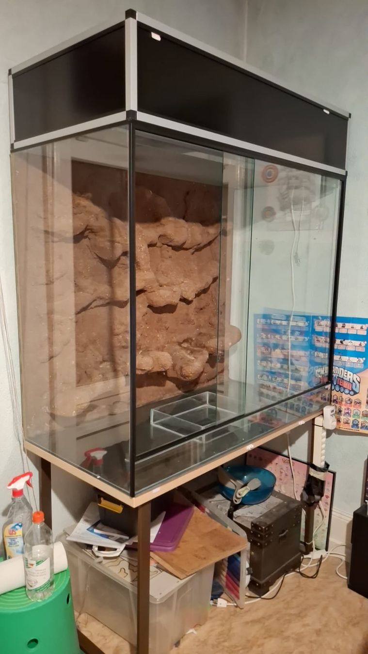 Terrario: TERRARIUM in Wädenswil – Usato da Kriens venduto da Tatzitus 2