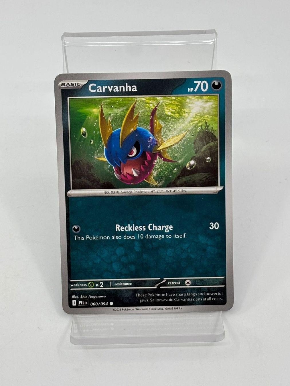 Pokémon Carte collezionabili: Pokemon Carvanha 060/094 – Usato da Herisau venduto da Pokemon2026