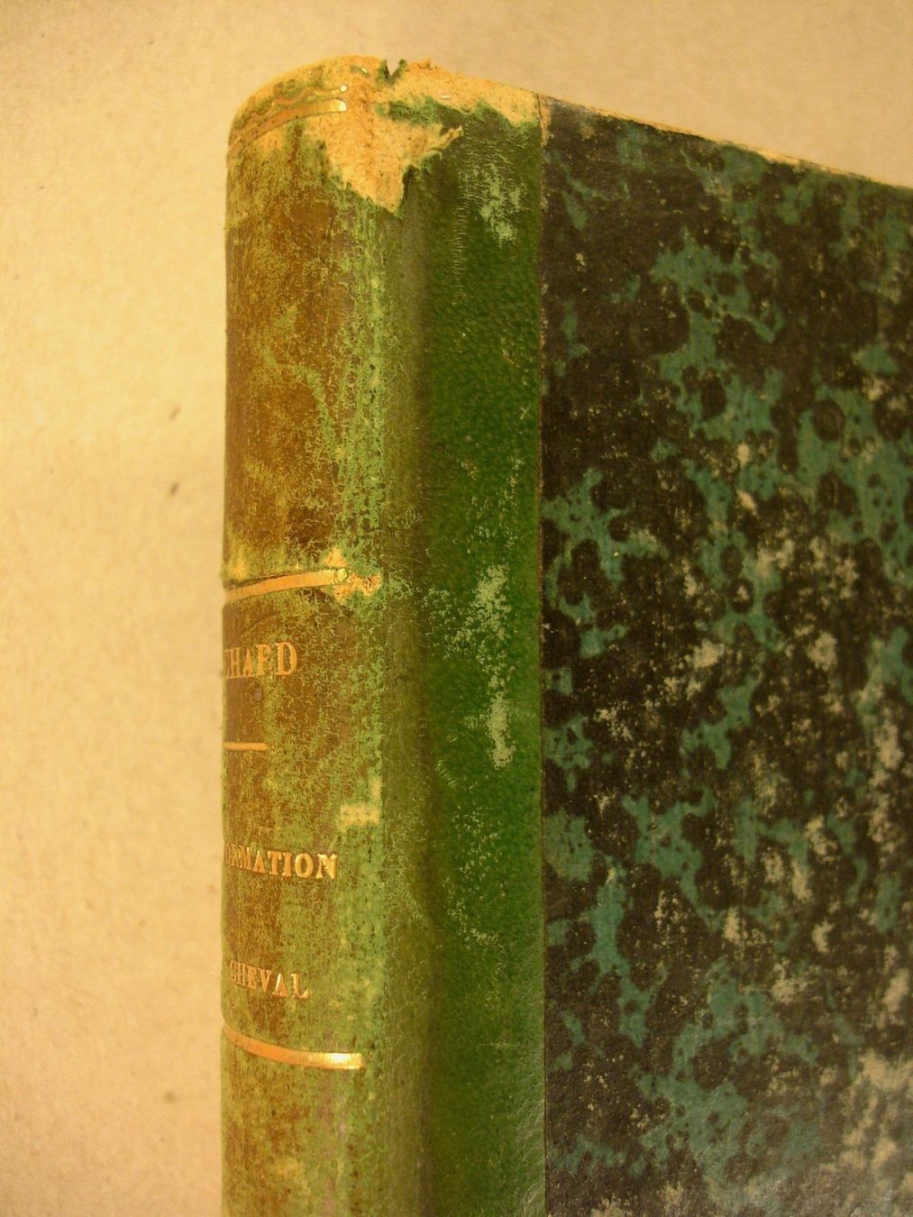 Libri: DE LA CONFORMATION DU CHEVAL, um 1860, PFERD – Usato da Grüningen venduto da Kartensammler 7