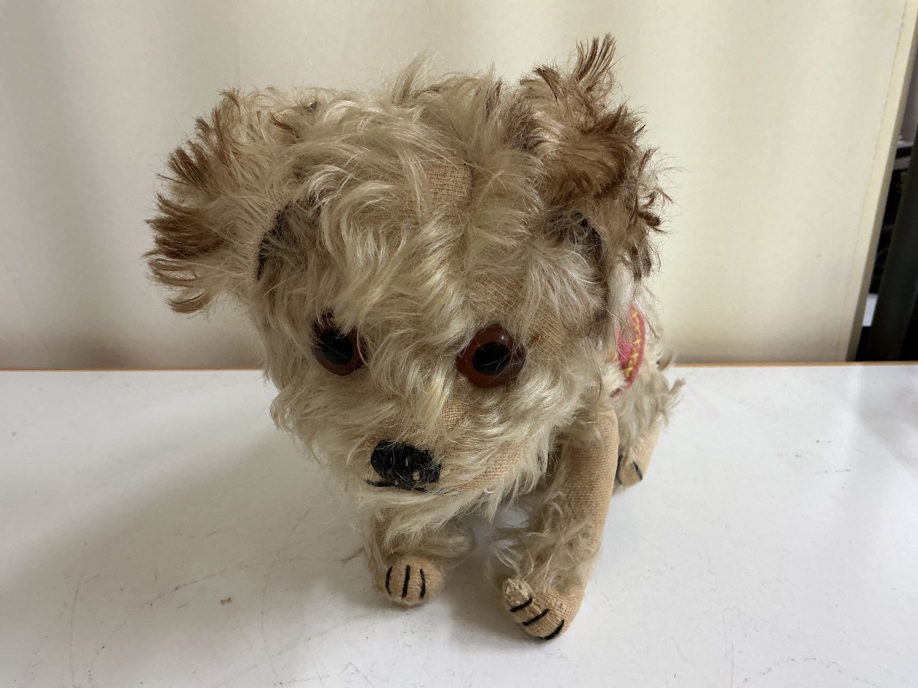 Giocattoli: Steiff Molly Hund – Usato da Bern venduto da vielerart