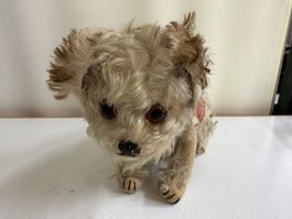 Steiff Molly Hund