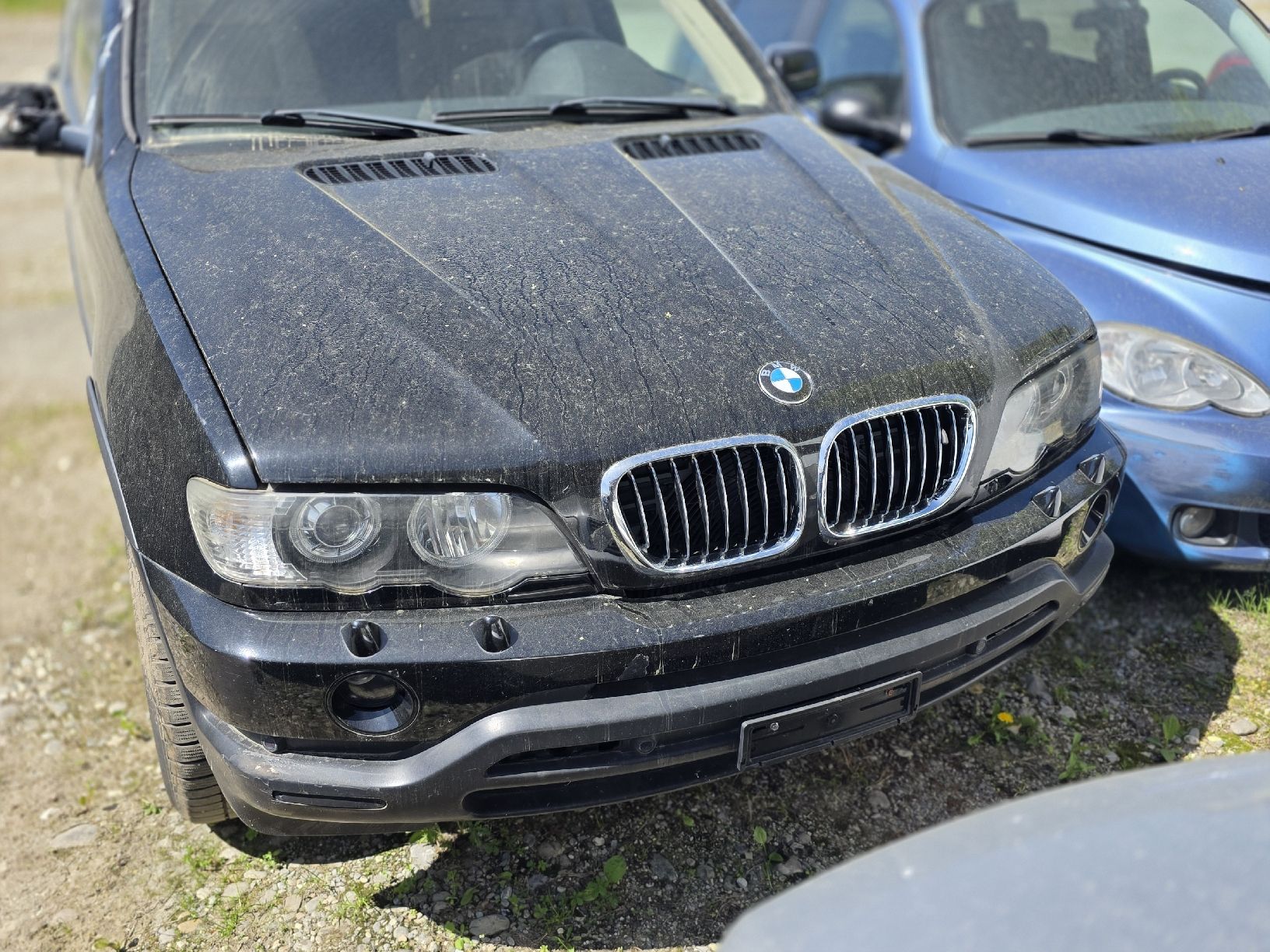 Automobili: BMW X5 4.4i V8 (E53) – Usato da Bussnang venduto da ER-23.I 1