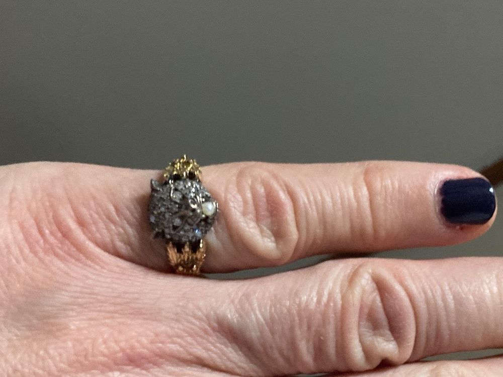 Gucci Anelli: Gucci Ring Feline Gr.13 – Usato da Zuerich venduto da SaTs-43 3