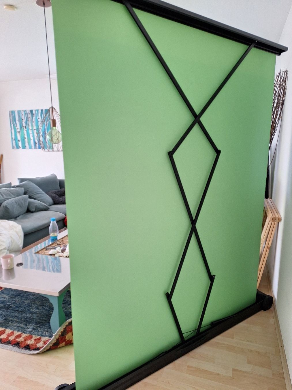 Autres accessoires: Celexon Green Screen – D'occasion à Meilen par manaraxi 1