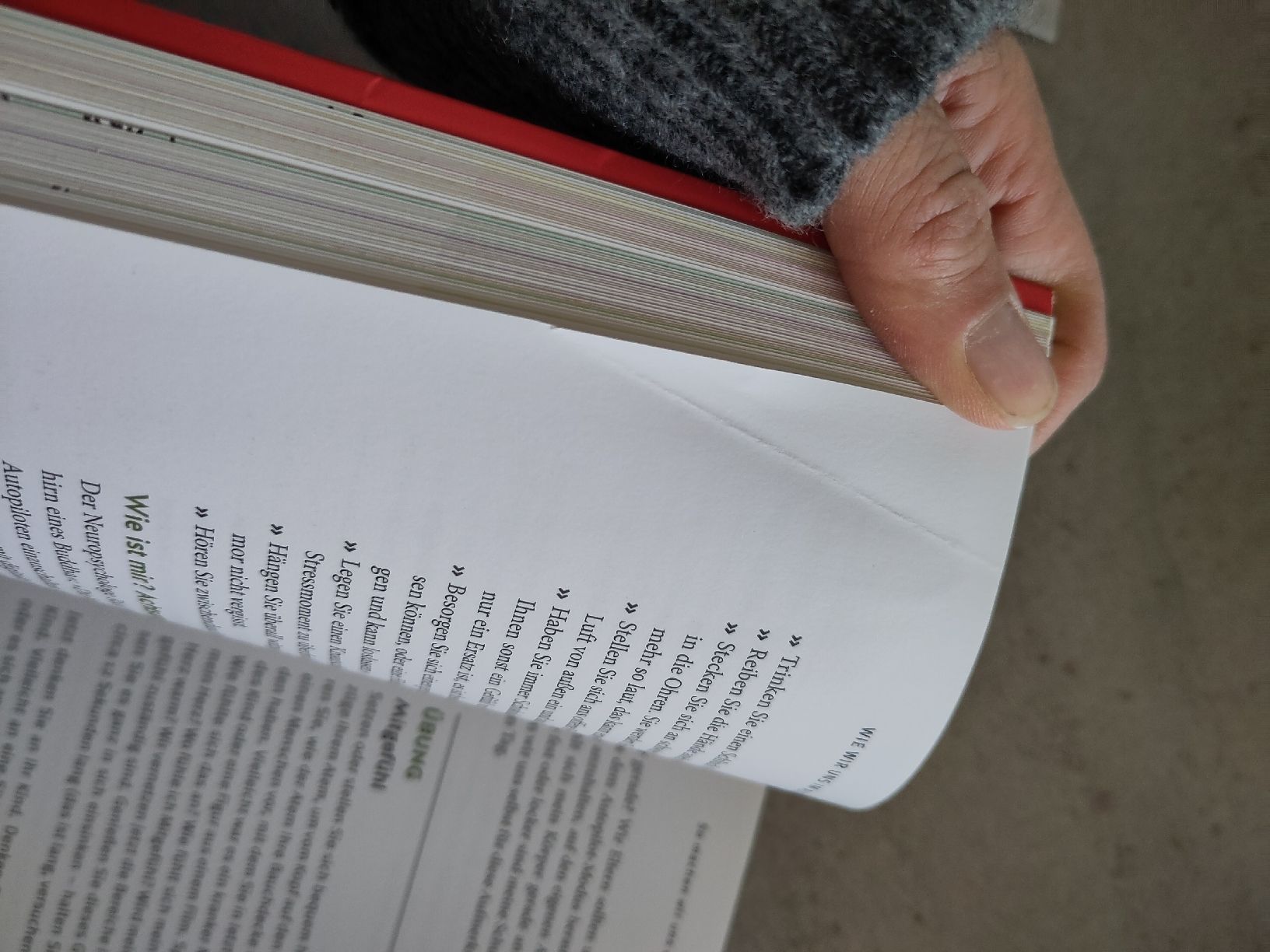 Libri: Erziehen ohne Schimpfen – Usato da Dettighofen Lengw. venduto da mai_75wt 3