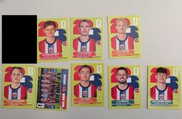 Panini 2026 WM USA NOR Norwegen 8 Stk. (Preis pro Stück!!!)