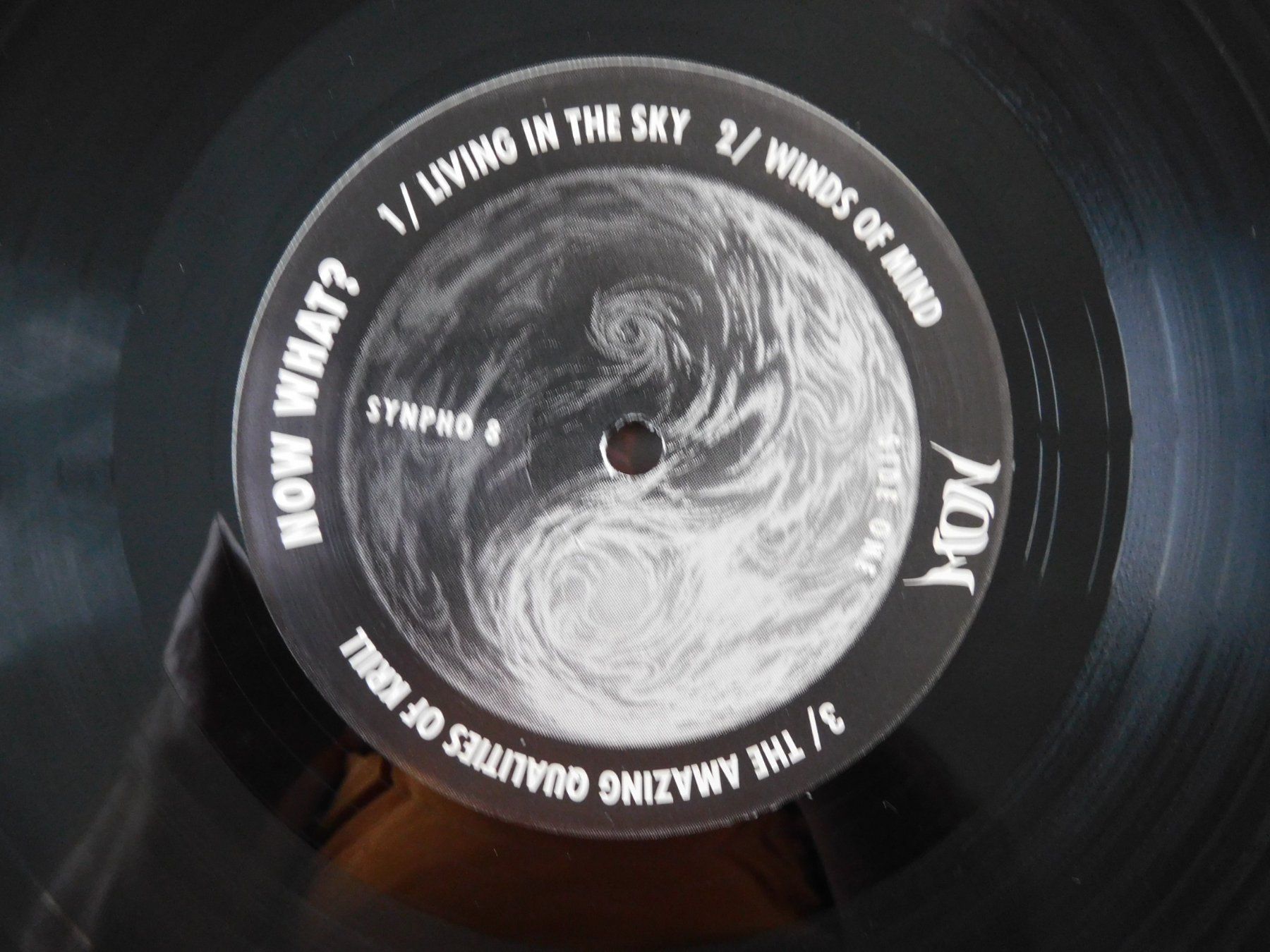 Dischi in vinile: Now – Now What? – Usato da Emmenbrücke venduto da Dickens 3