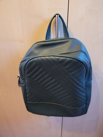Rucksack in grün von David Jones