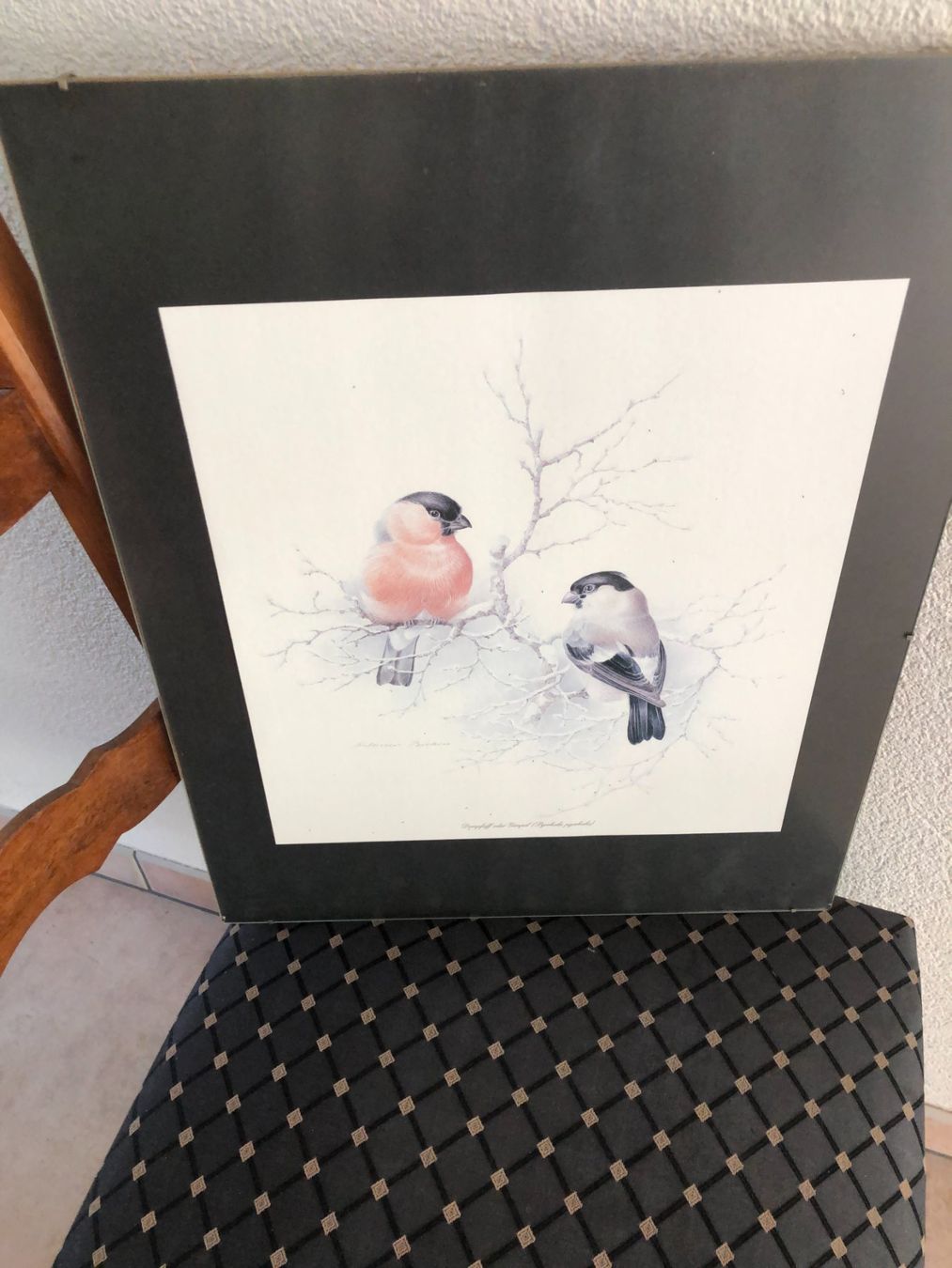 Welt der Tiere: Vogelbild Dompfaff/Gimpel hinter Glas – Gebraucht aus Freienstein von ErnaS01 4