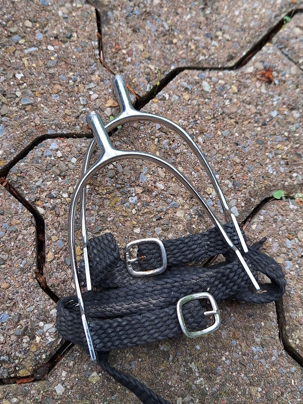 Selle & Accessori: Reitsporen, stumpf – Usato da Effretikon venduto da Misterdyn
