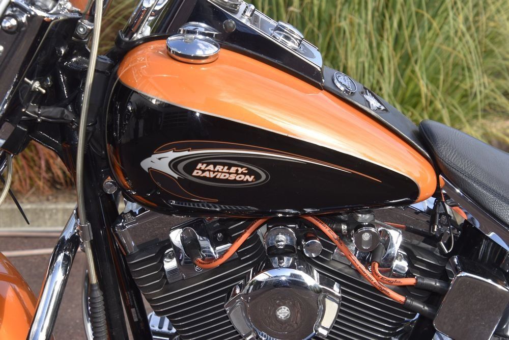 Harley-Davidson Touring: Harley-Davidson Softail Fatboy FLSTF, Typ X, MFK 04.09.2024 – Usato da Kriegstetten venduto da Tamandua 7