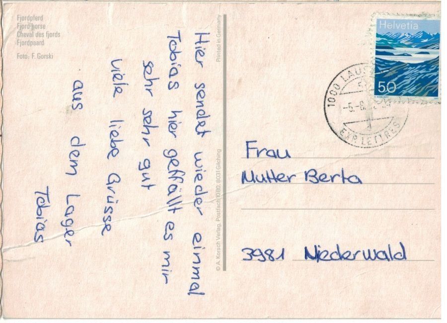 Cartoline postali: Fjordpferd, gelaufen 1992 – Usato da Frauenfeld venduto da POML 1