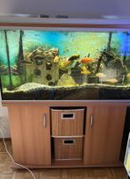 Aquarium (bxhxt) 120x72x50 cm inkl. Unterschrank