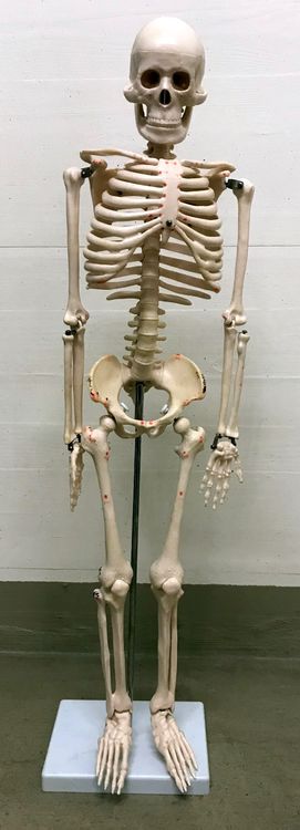 Miniatur Fotografie Set - Puppenhaus Kamera Stativ Aus Harz | Puppenhaus Dekoration Zubehör