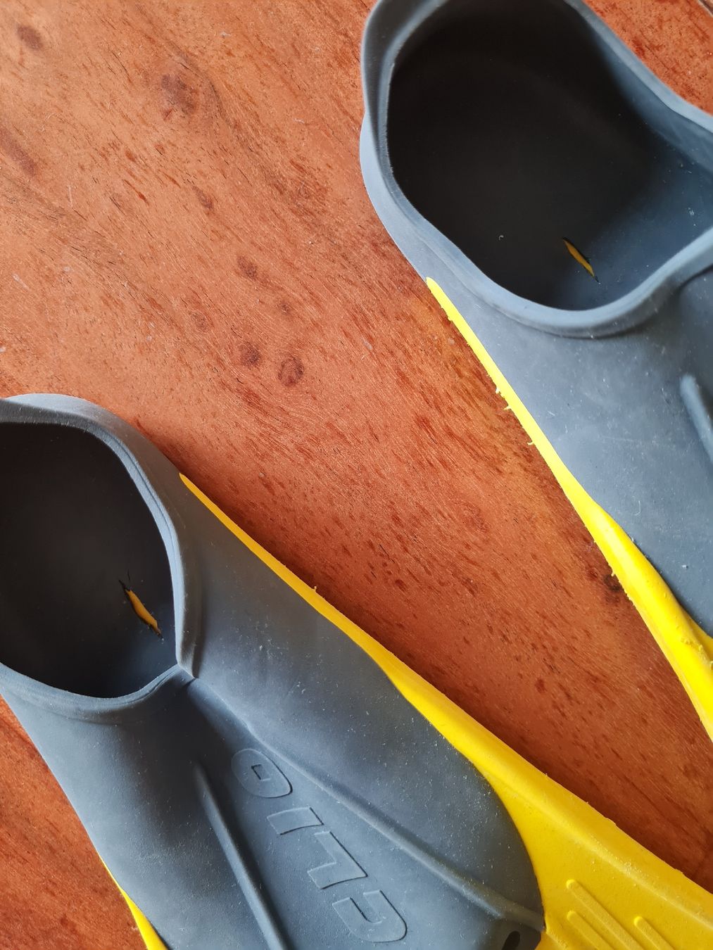 Flossen, Masken & Schnorchel: Cressi-stub Flossen Kinder 27-29 – Gebraucht aus Otelfingen von Amors 1
