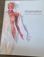 Körperwelten Einblicke in den menschlichen Körper Buch